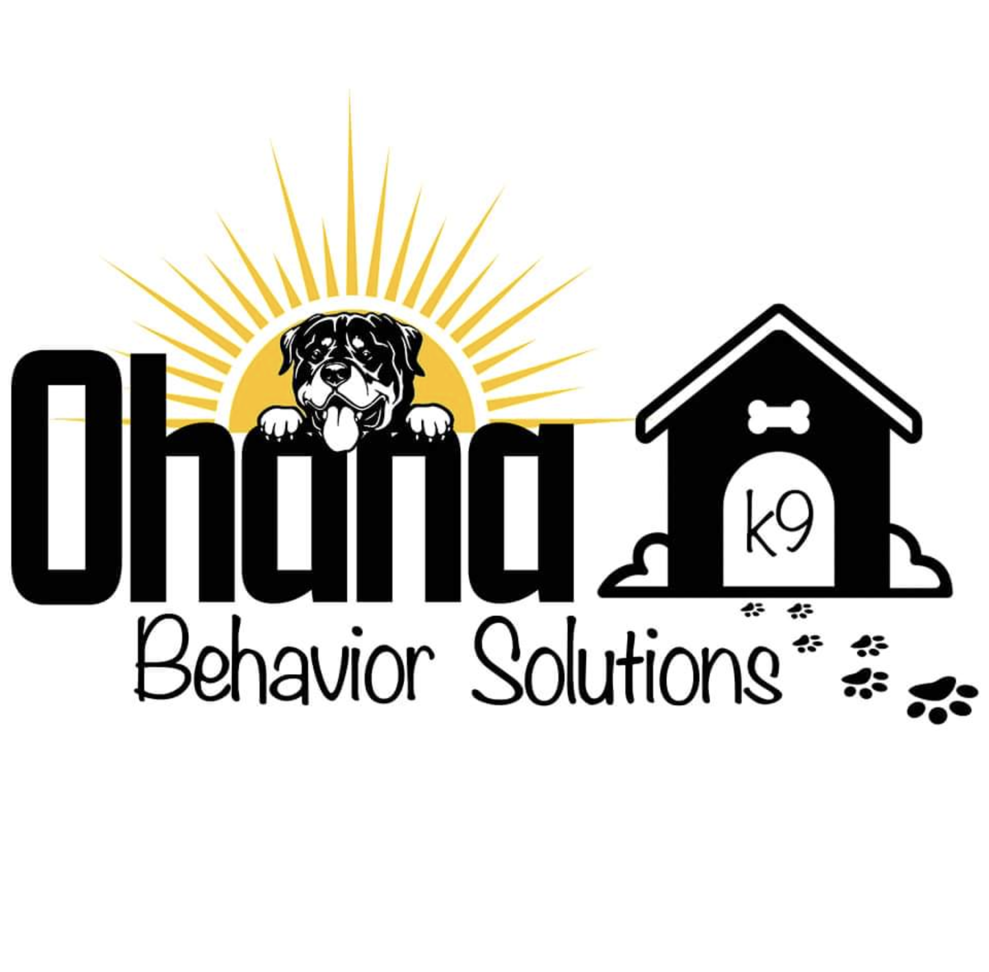 Ohana Behavior Solutions